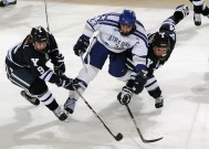 新手入门指南：米兰体育app官网入口