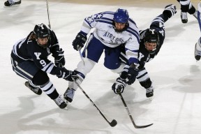 新手入门指南：米兰体育app官网入口