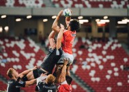 米兰体育平台登录入口平台功能说明使用指南（实测）