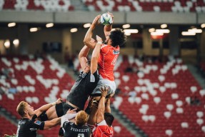 米兰体育平台登录入口平台功能说明使用指南（实测）