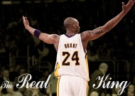 米兰体育官网平台结构介绍全面解析