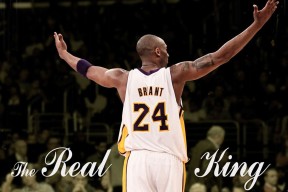 米兰体育官网平台结构介绍全面解析