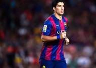 新手入门指南：米兰体育官网