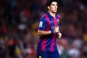 新手入门指南：米兰体育官网