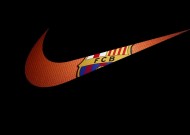 如何使用米兰体育官网详解