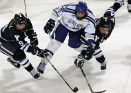 平台使用建议深度分析：米兰体育入口