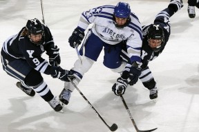 平台使用建议深度分析：米兰体育入口