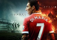 全面解析：米兰体育官网