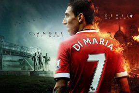 全面解析：米兰体育官网