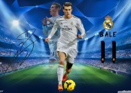 新手入门指南：米兰体育平台登录入口