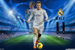 新手入门指南：米兰体育平台登录入口