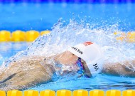 新手入门指南：米兰体育（推荐）